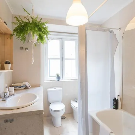 Apartment Plant House Baixa